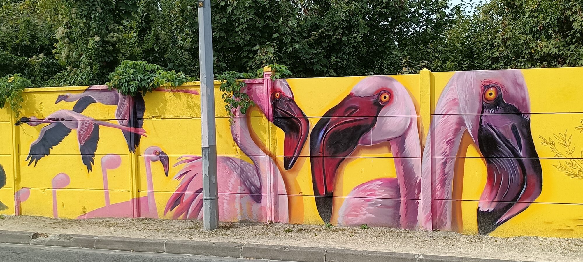 Flamants roses sur mur jaune — Street art à Reims