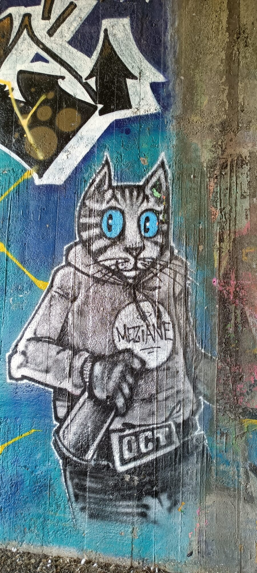 The cat with a spray can and hoodie — Street art in Nantes