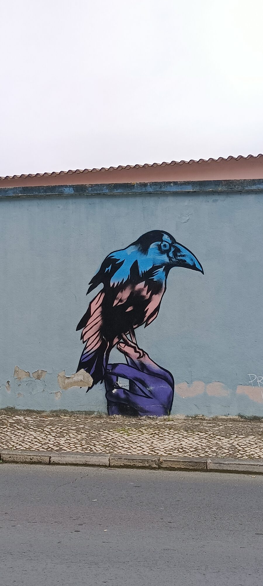 Perched blue crow — Street art in Lisboa