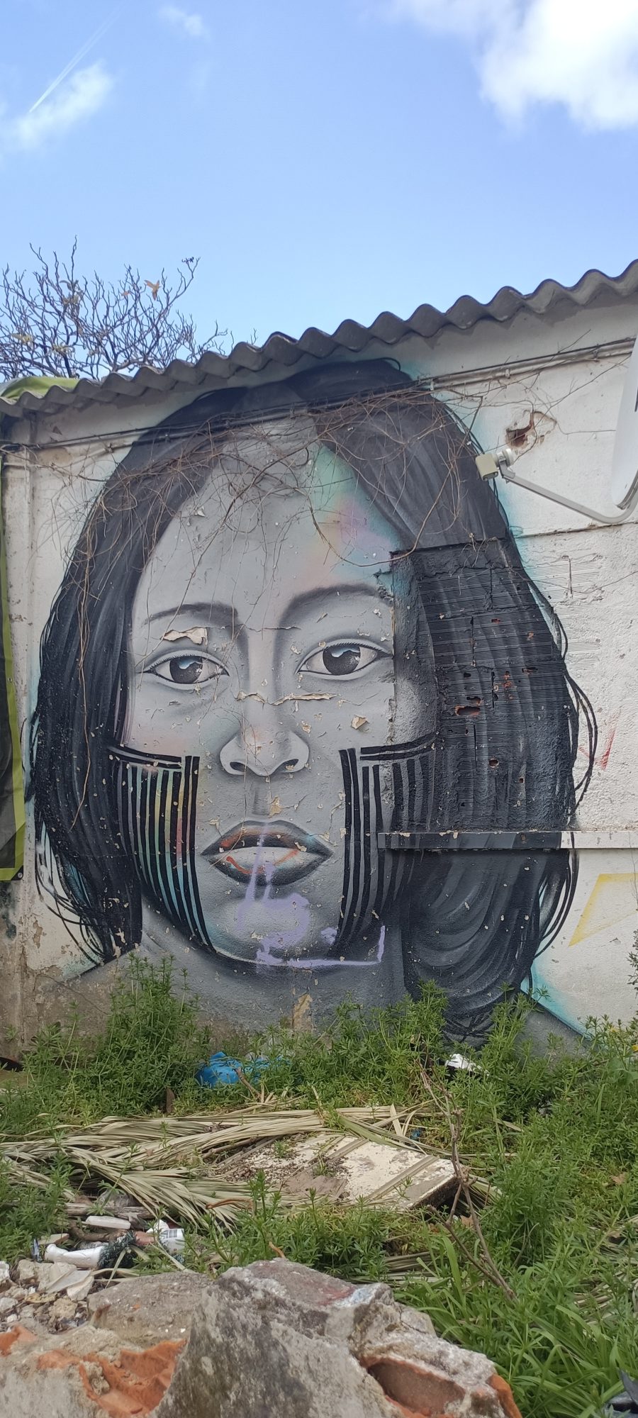 Portrait Zébré aux Rayures et Arc-en-ciel — Street art à Lisbon