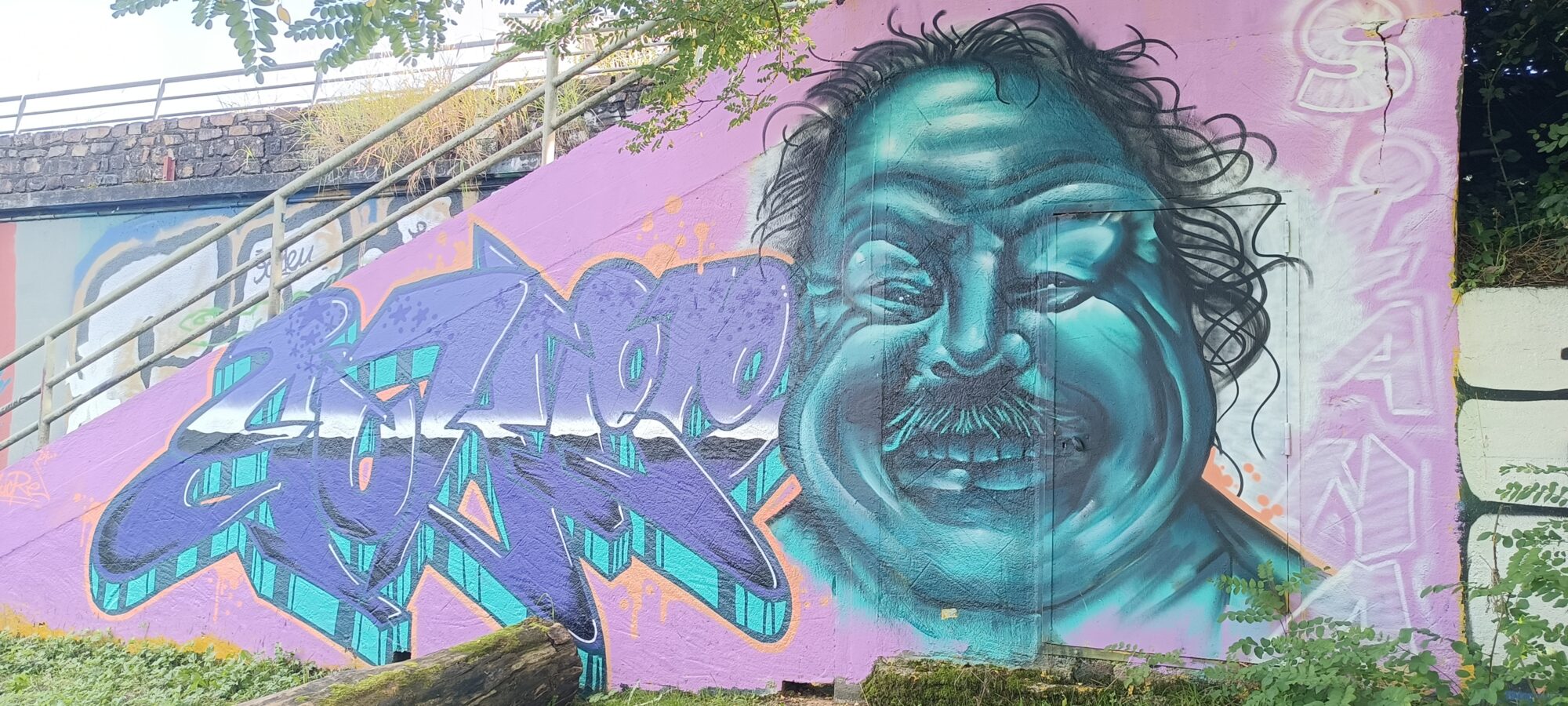 Turquoise face and purple wildstyle — Street art in Nantes
