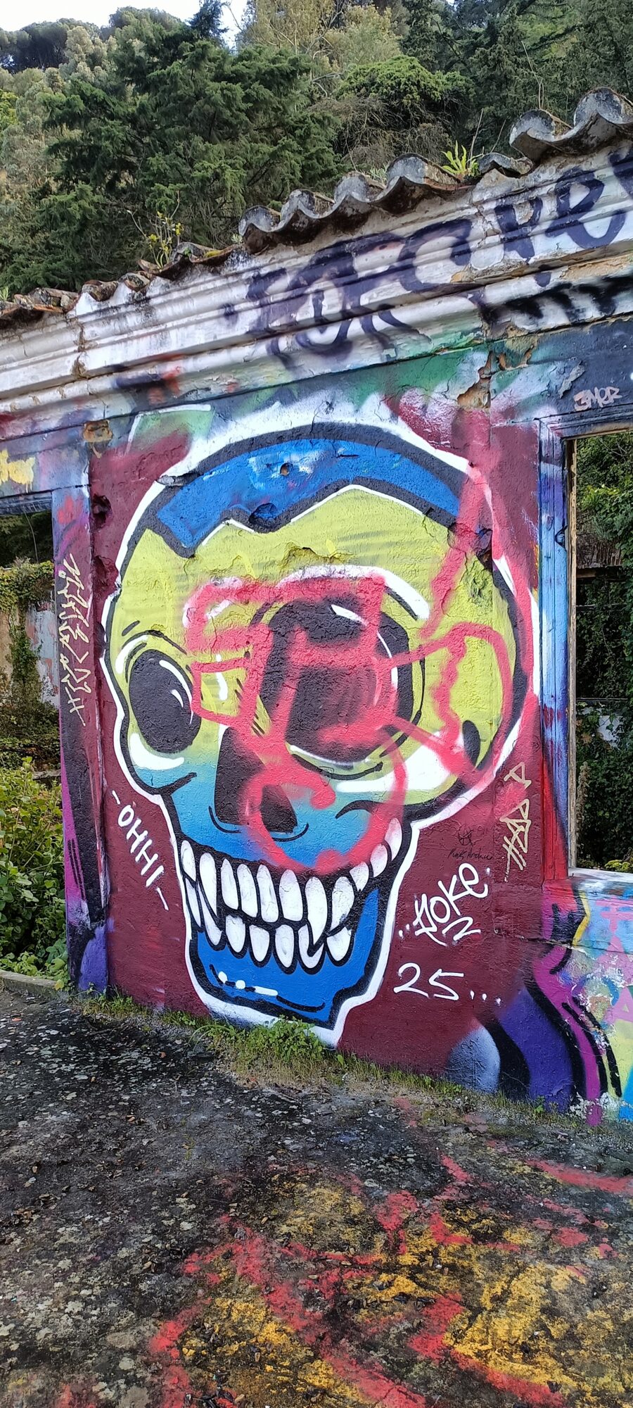 Crâne bleu et jaune recouvert d'un tag rose — Street art à Lisboa