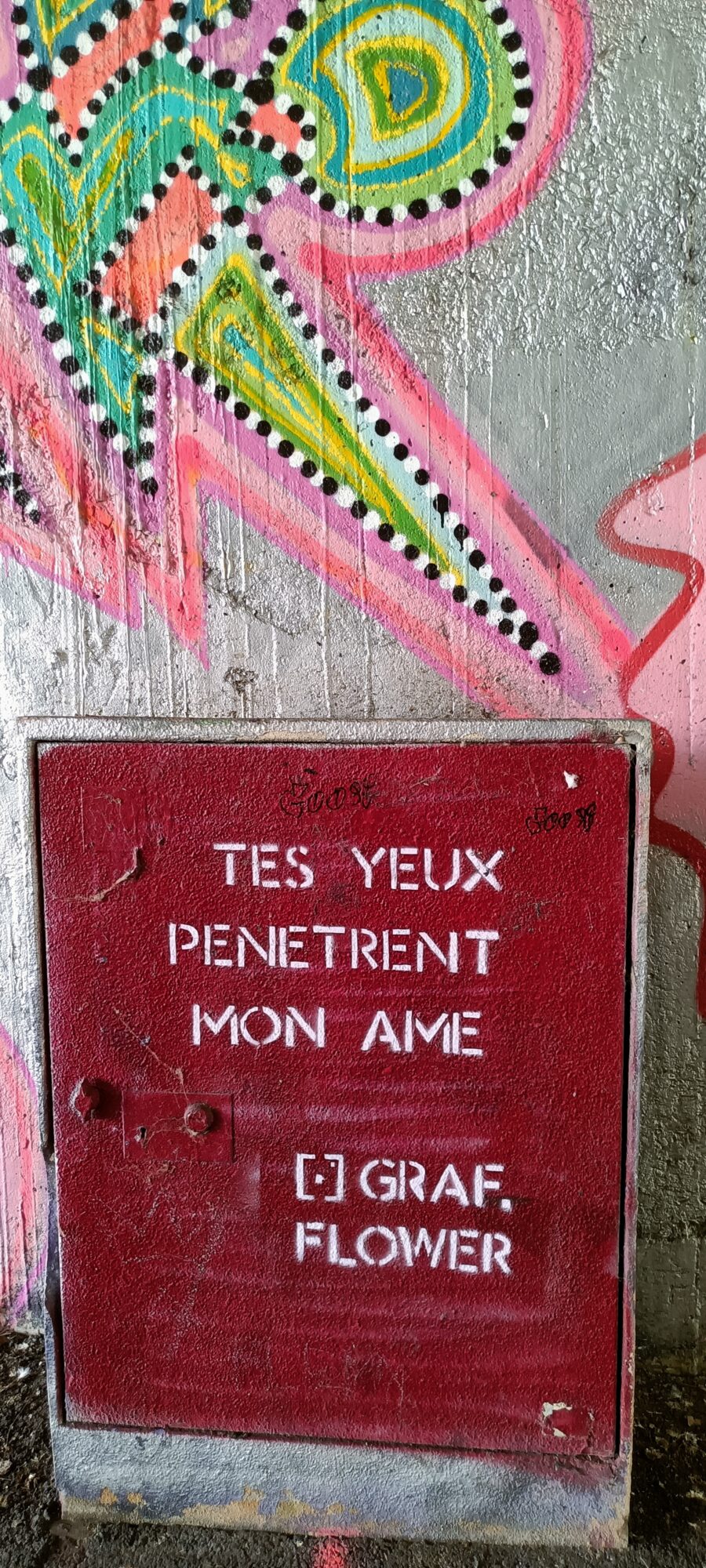 Your eyes pierce my soul — Street art by Graf Flower in Nantes