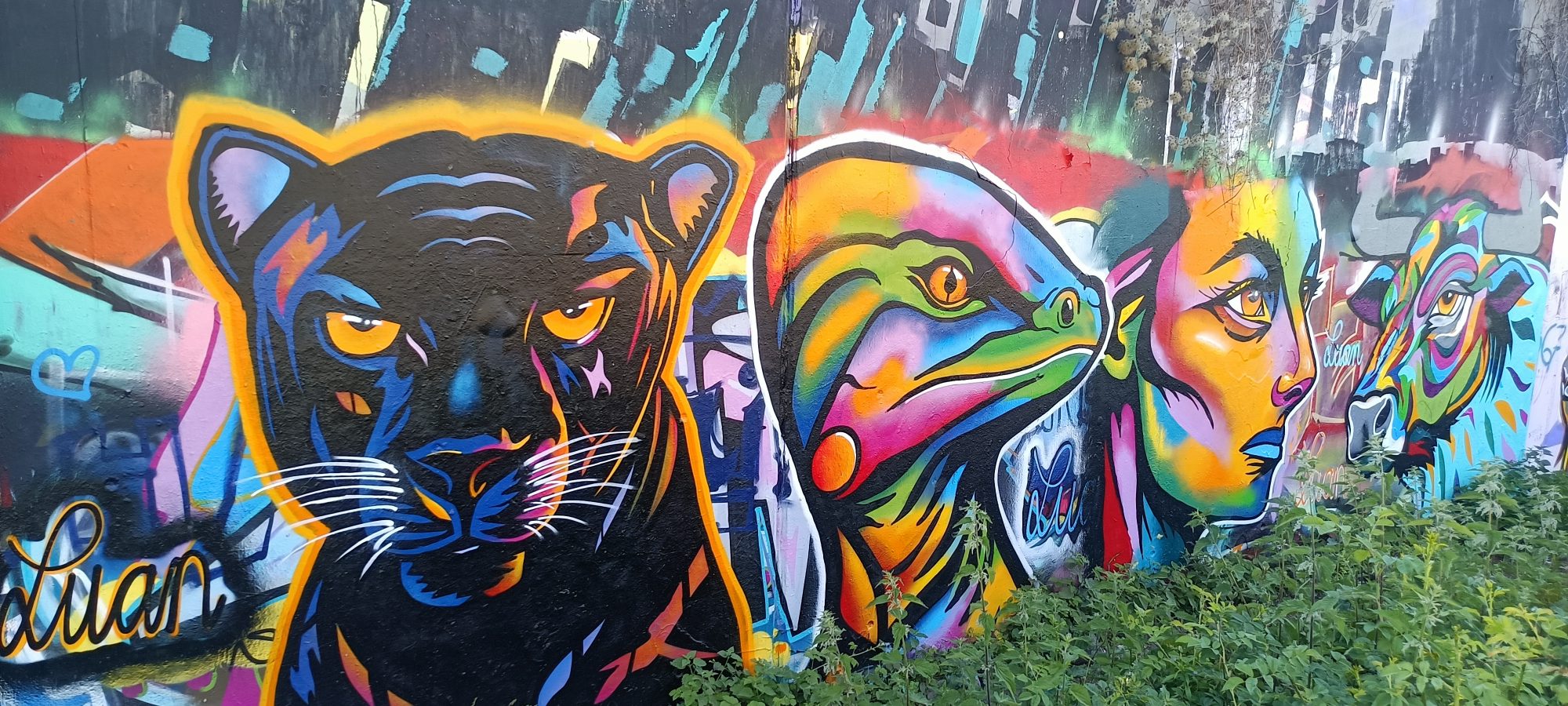 Panthère et iguane de Luan — Street art à Berlin