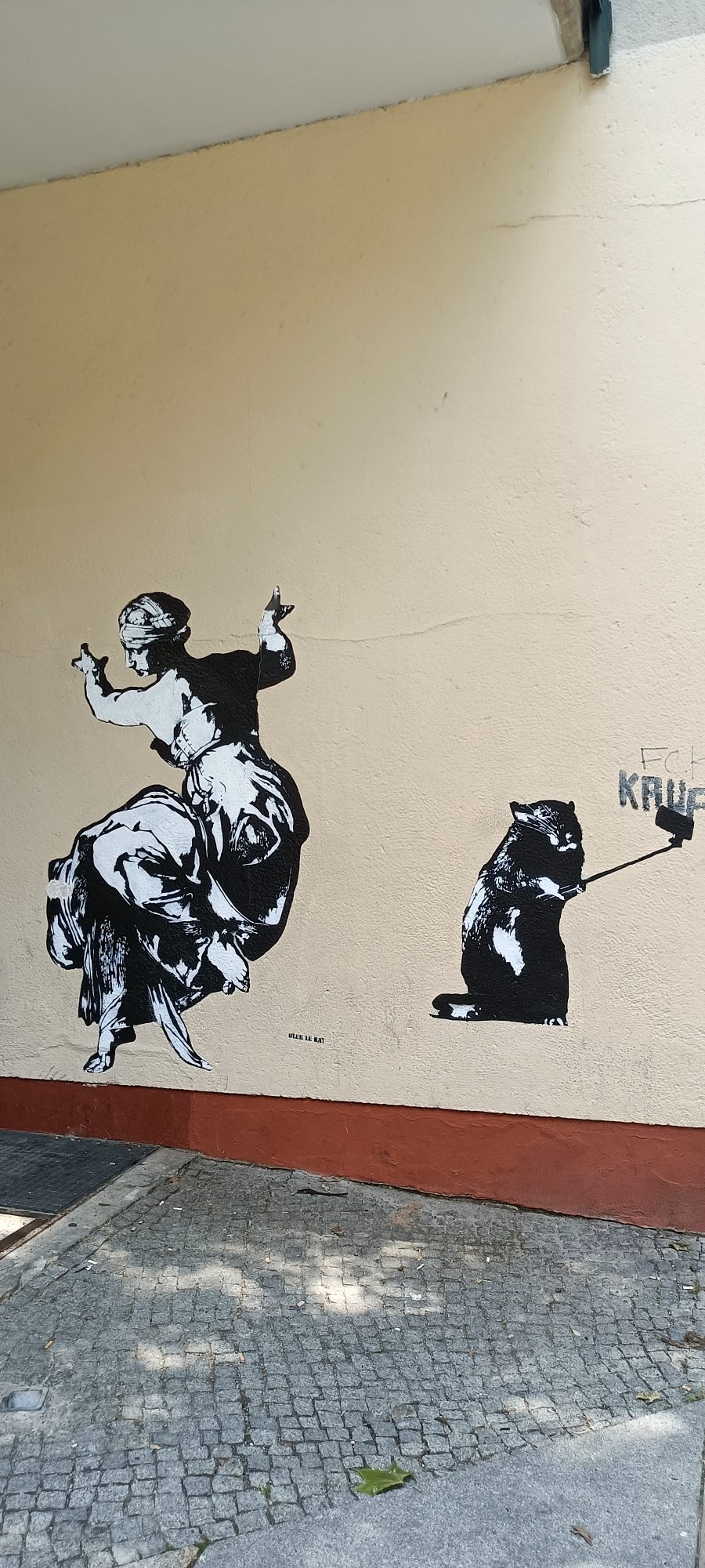 Classical Muse and Selfie Raccoon — Street art in Berlin