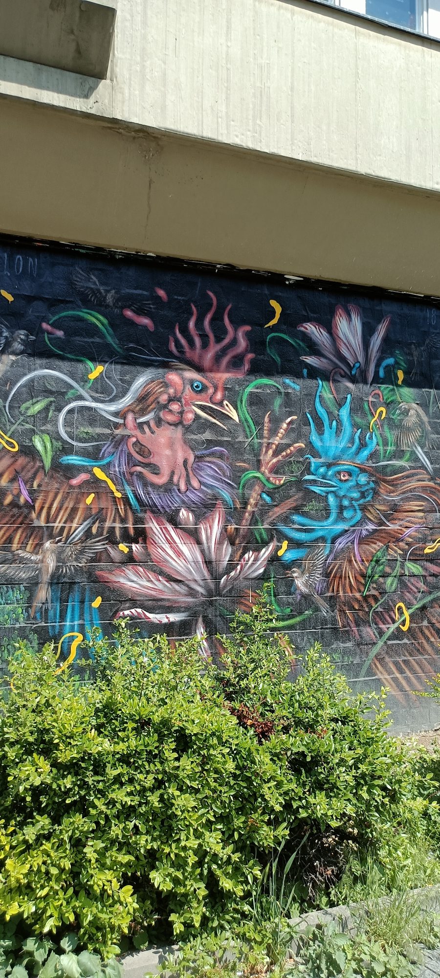 Coqs psychédéliques au lotus — Street art à Berlin