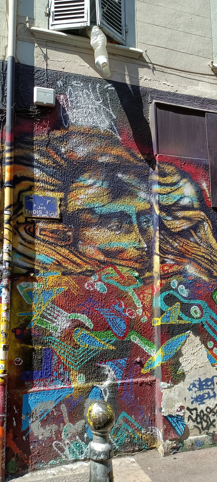 Orange big cat on a textured wall — Street art in Marseille