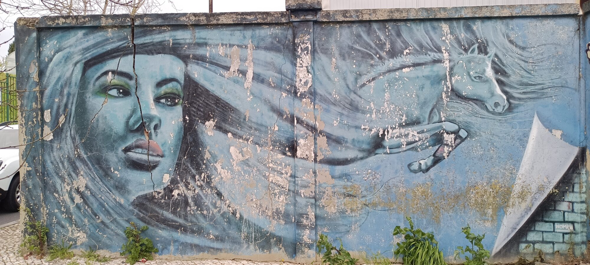 Chevelure changée en cheval par Nomen — Street art de Nomen à Lisboa