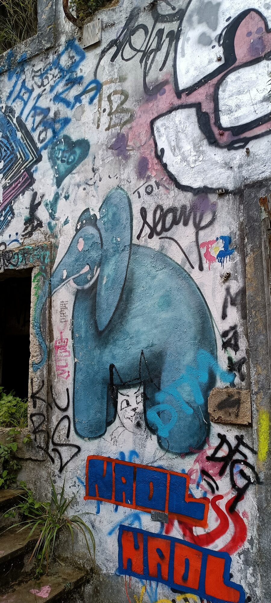 Éléphant bleu et lettrage Naol — Street art à Lisboa