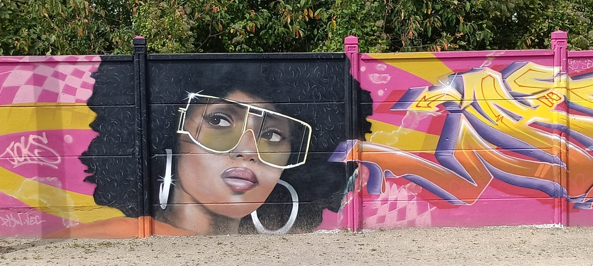 Portrait with Gold Visor Glasses — Street art in Reims
