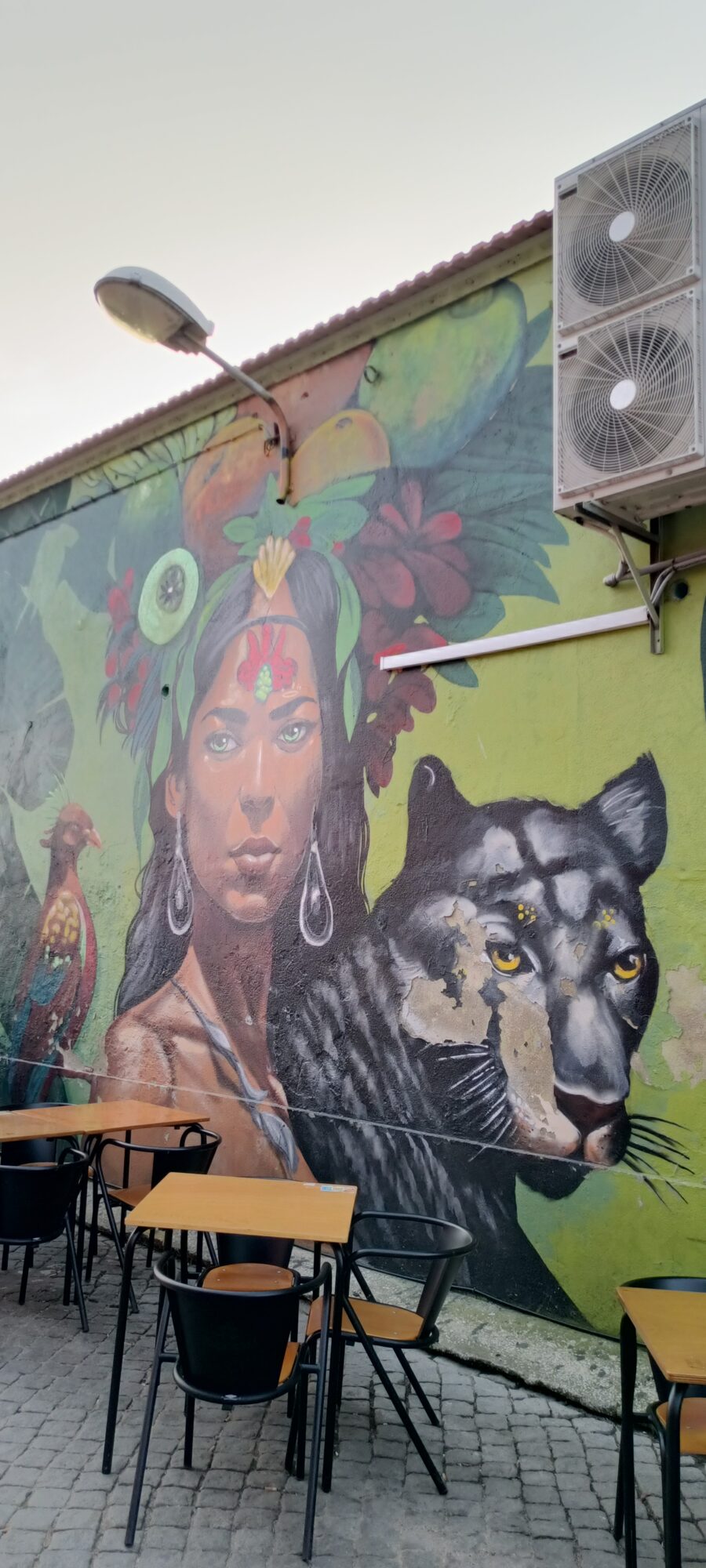 Flower-Crowned Woman and Black Panther — Street art in Lisboa