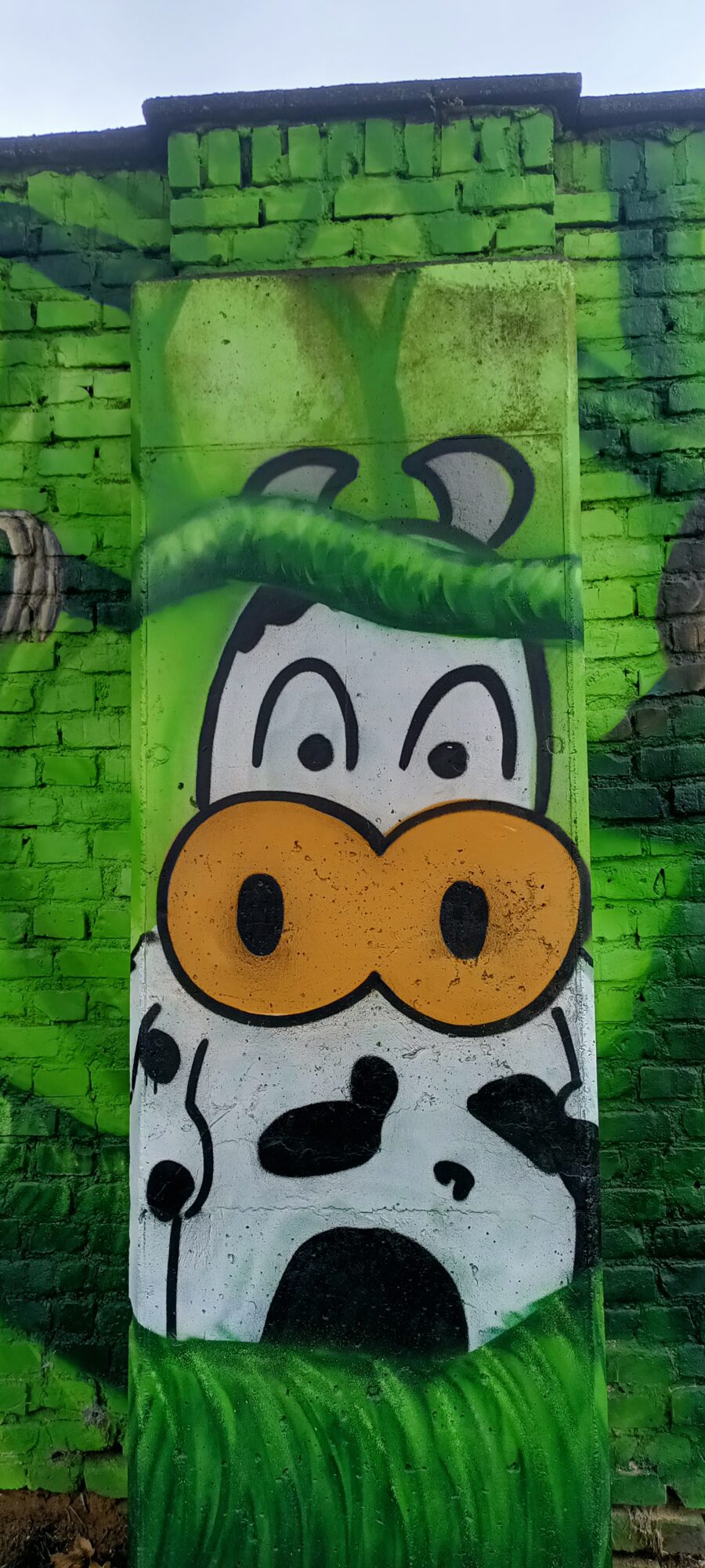 Tête de vache sur pilier de béton — Street art de Colorrevolution e.V. à Köln