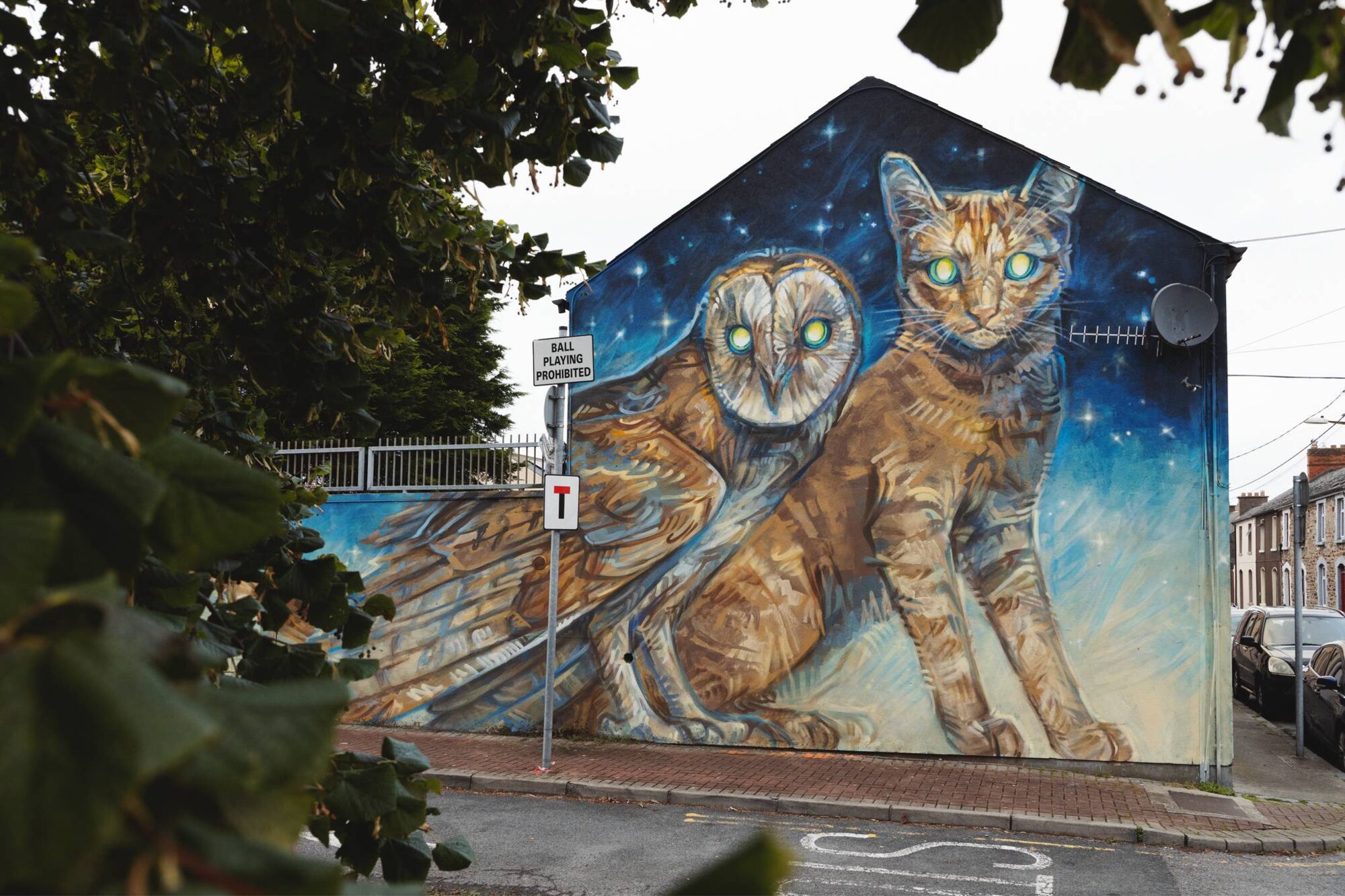The Owl and the Cat — Street art by Emily Ding in Waterford