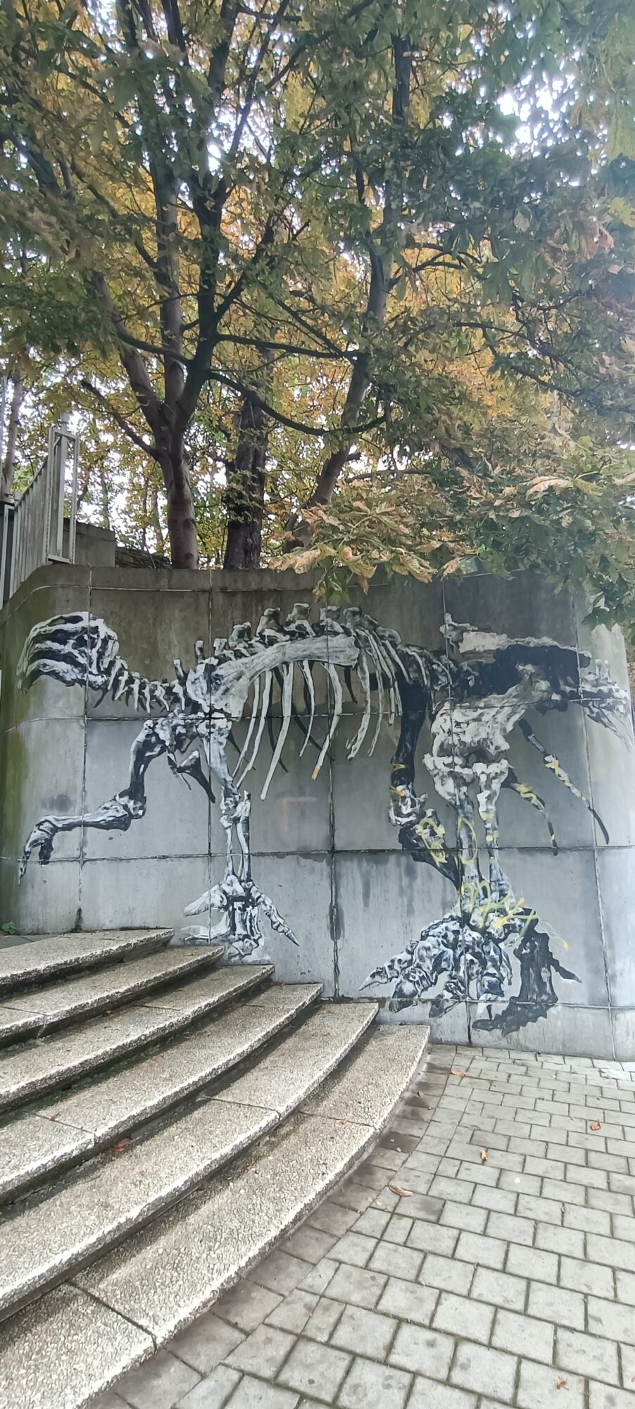 Dinosaur skeleton by the museum steps — Street art by Bonom in Ixelles