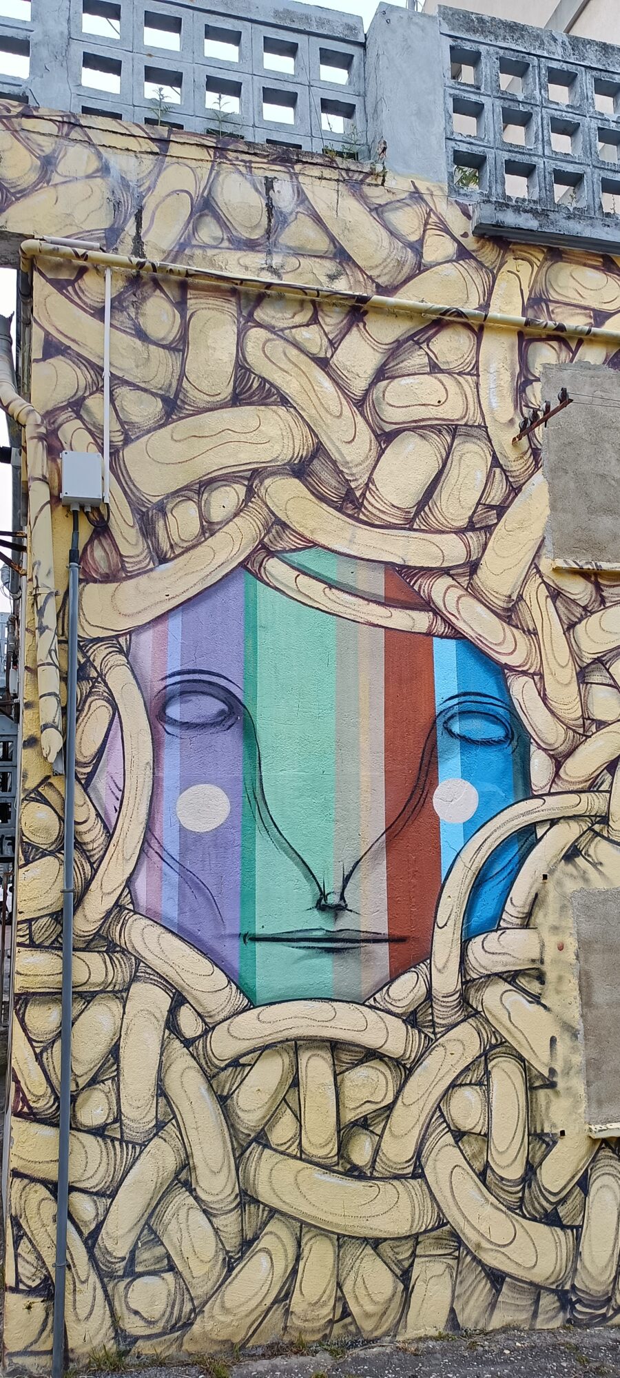 Visage arc-en-ciel, cadrage élargi — Street art à Lisboa