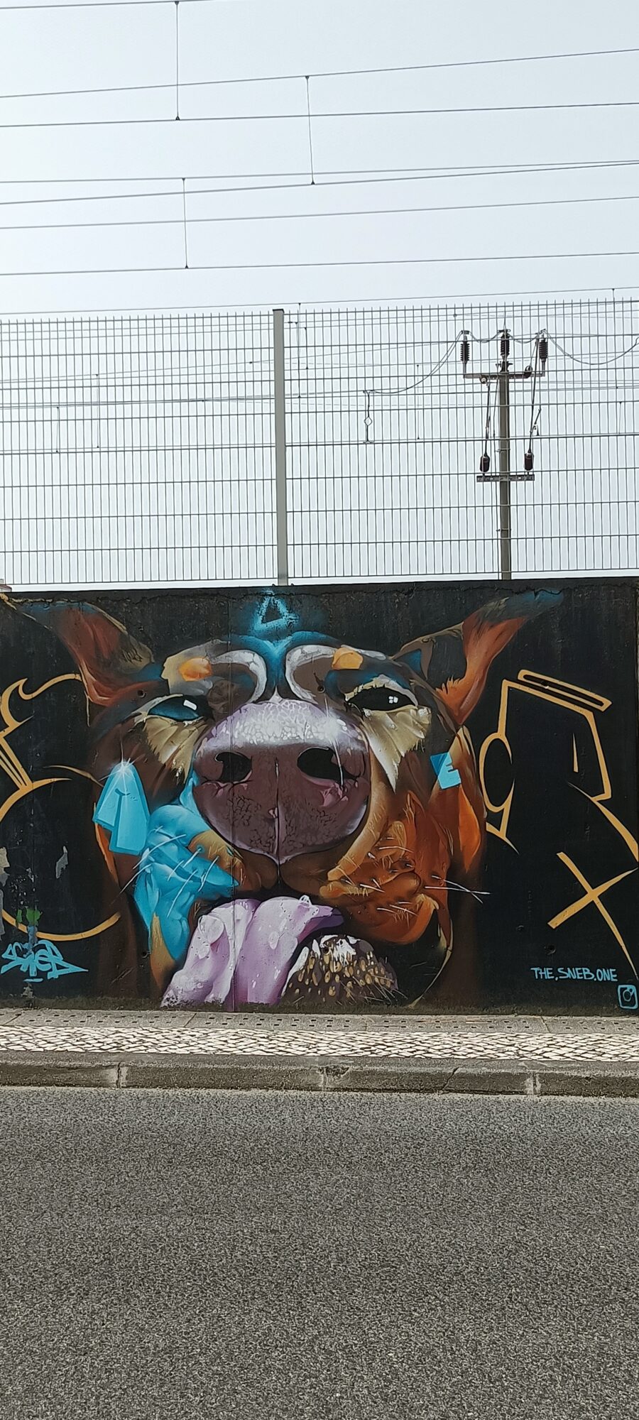 Dog's Head, by The Sneb One — Street art by The Sneb One in Lisboa