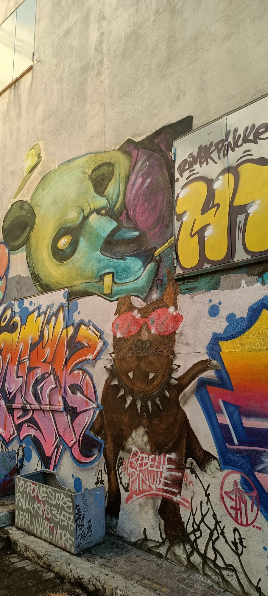 Chien aux lunettes en cœur — Street art à Marseille