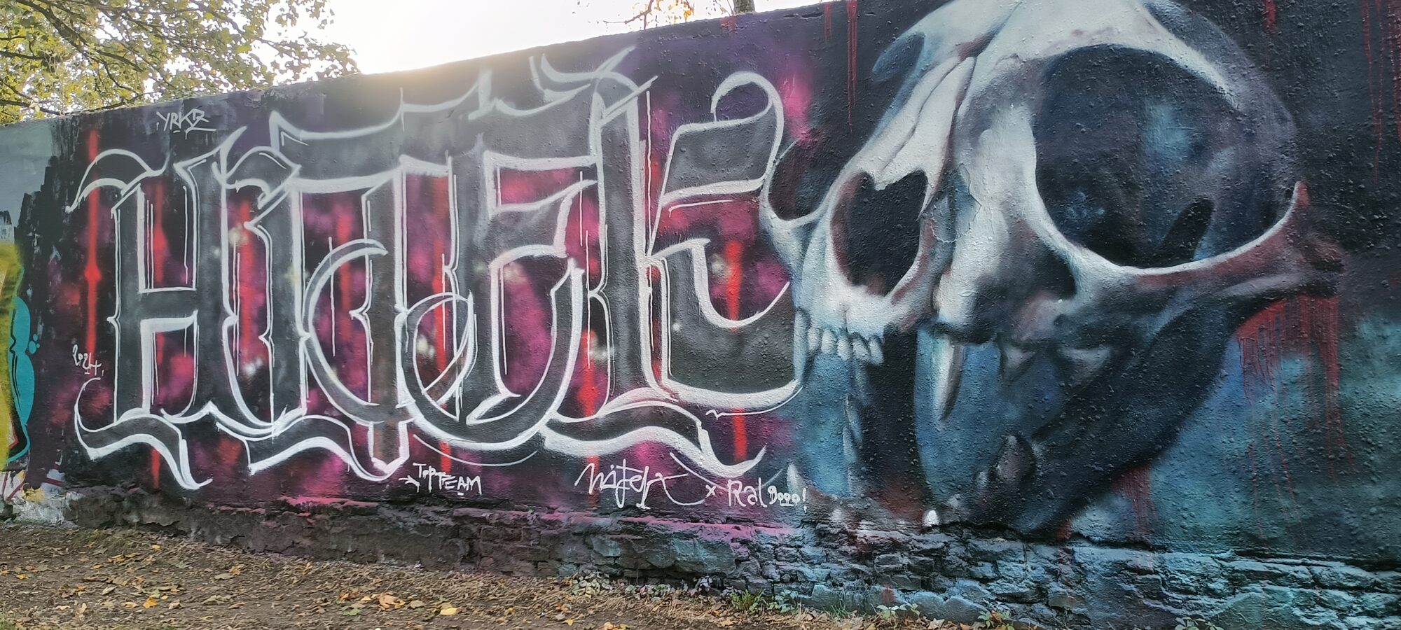 Animal skull and calligraphic lettering — Street art by RAL 9000 in Düsseldorf