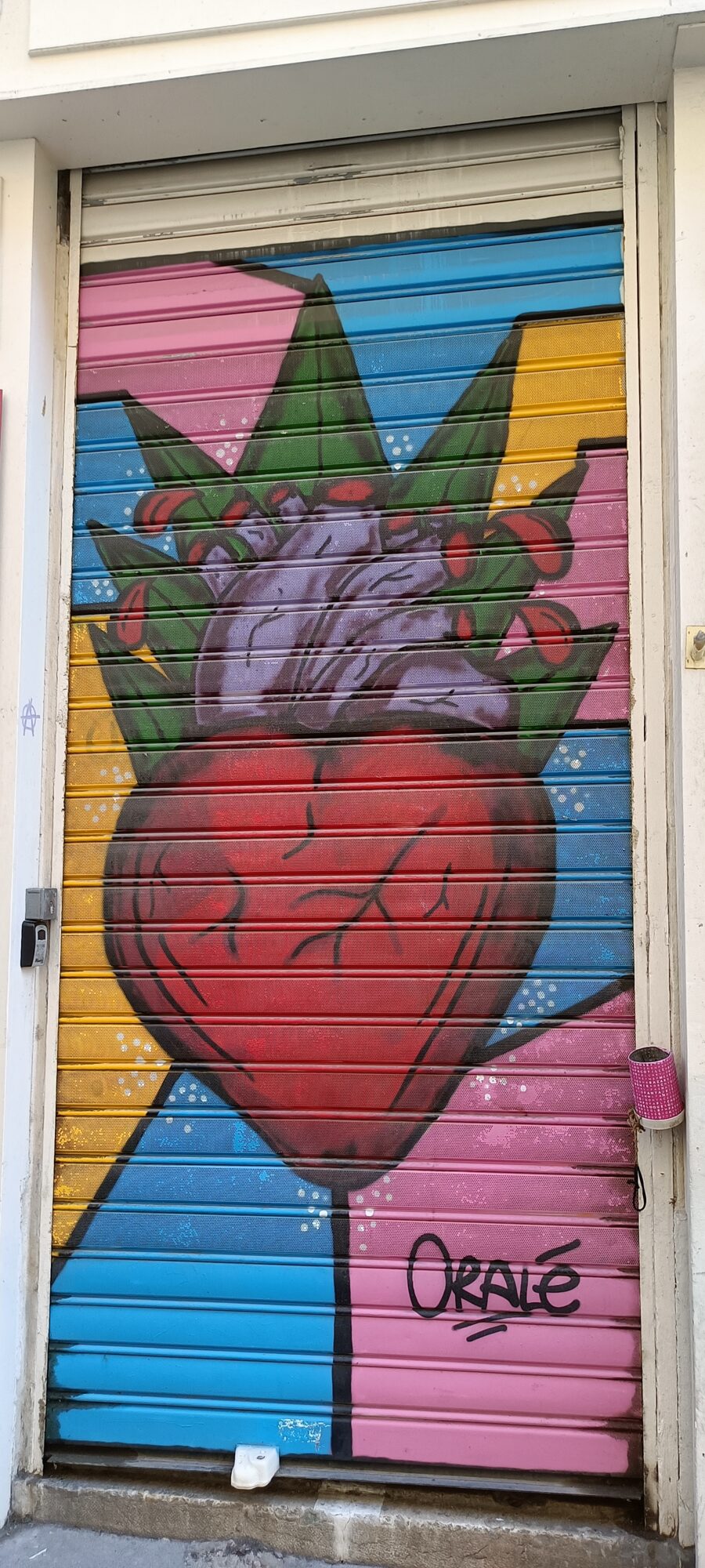 Flowering anatomical heart by Oralé — Street art in Marseille