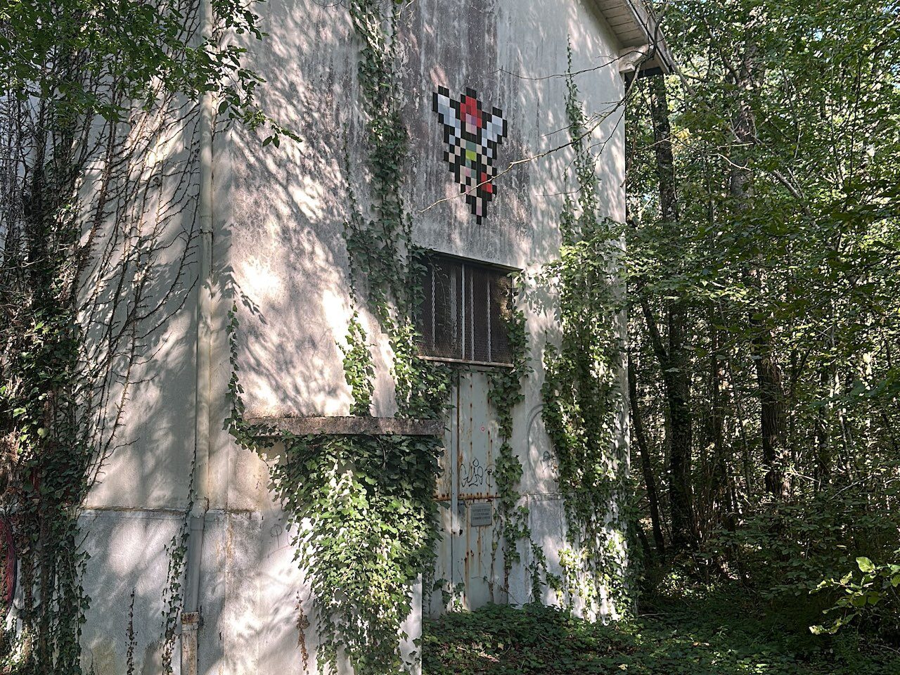 FTBL_22, Space Invader on Route de la Glandée — Street art by Invader in Fontainebleau