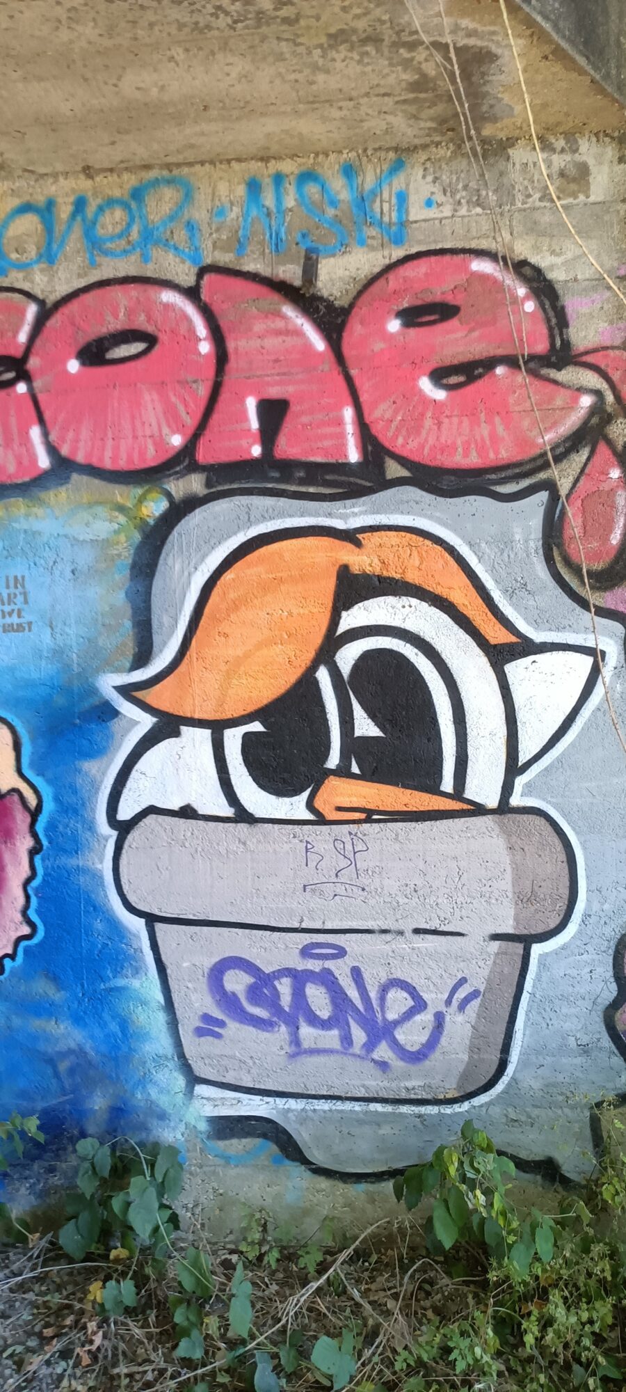 Canard cartoon dans un pot de fleurs — Street art à Le Mans