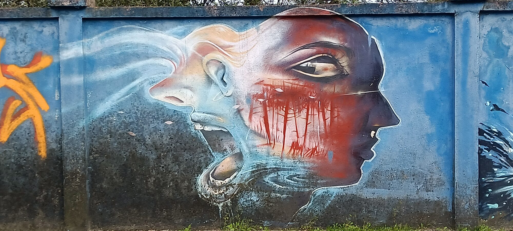 Deux profils, le pâle et le rouge — Street art à Lisboa