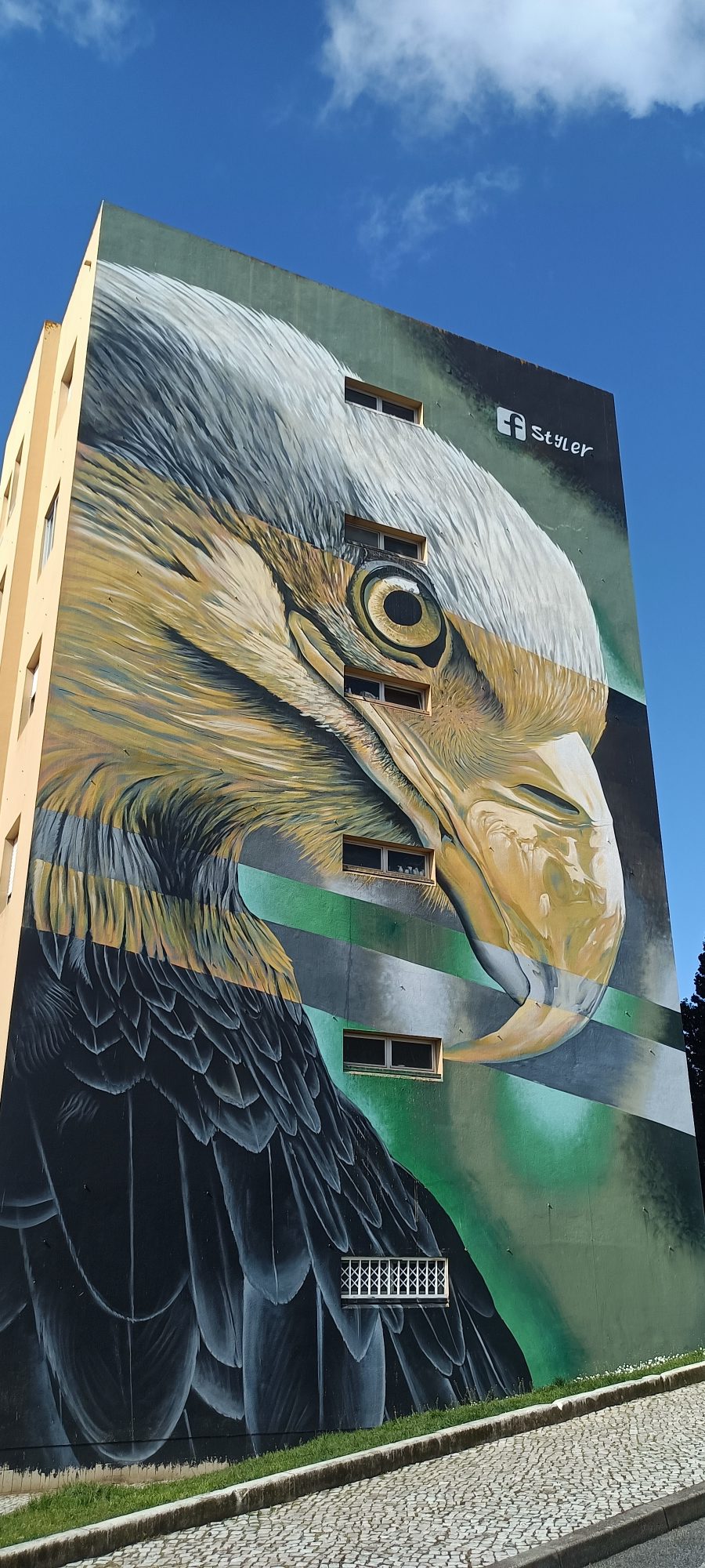 Tête d'aigle hyperréaliste — Street art de Styler à Lisbon