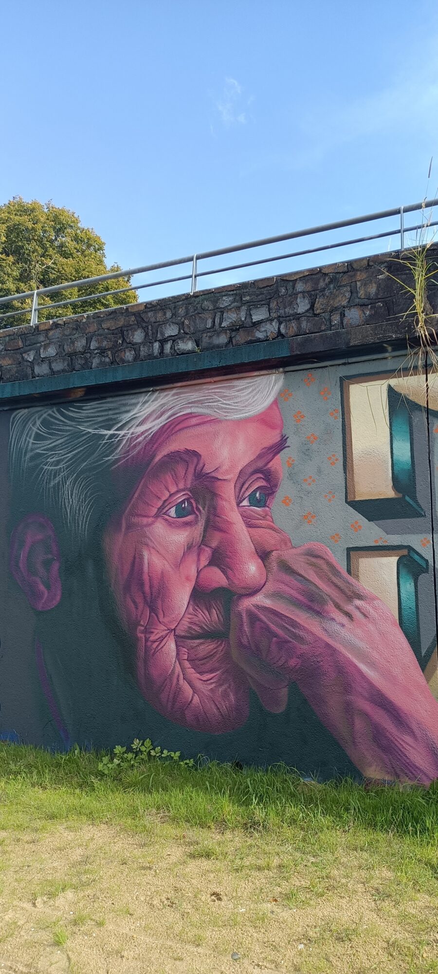 Portrait of an old woman in pink — Street art in Nantes