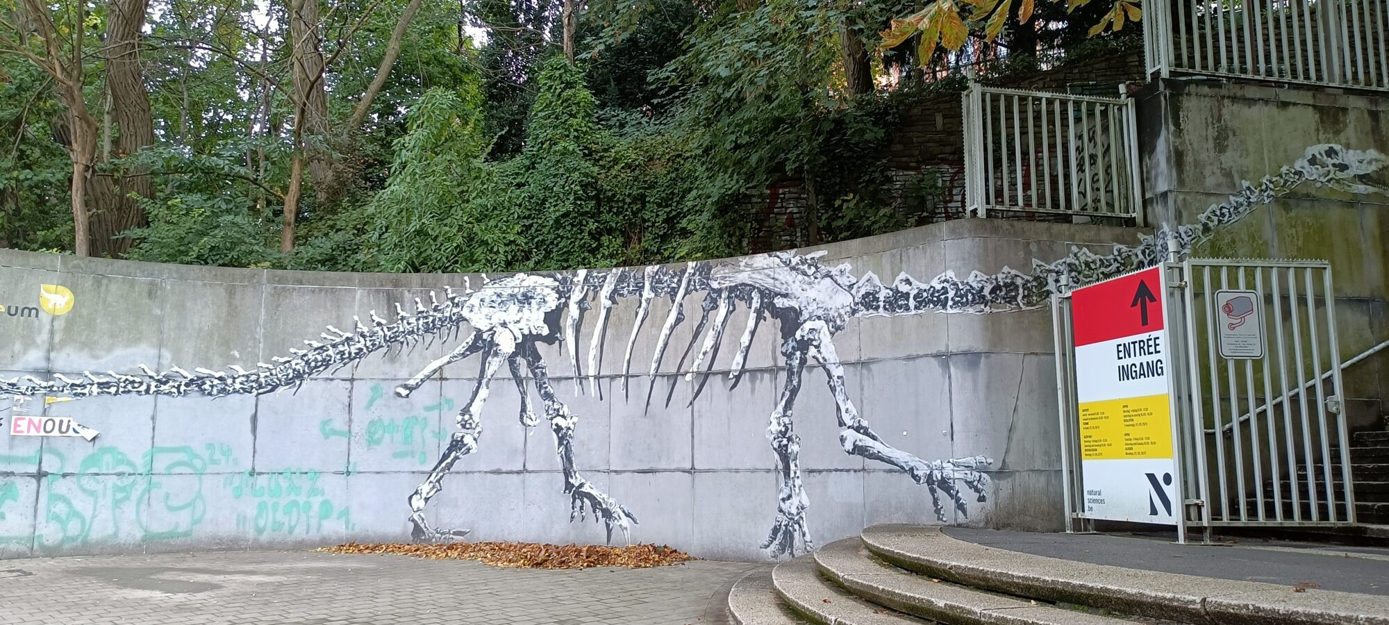 Bipedal dinosaur skeleton — Street art by Bonom in Ixelles