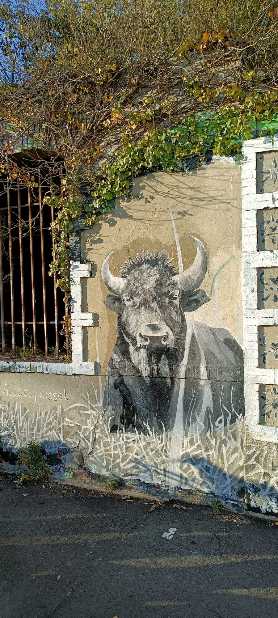 Bison réaliste par Alice Jousset — Street art de Alice Jousset à Nantes
