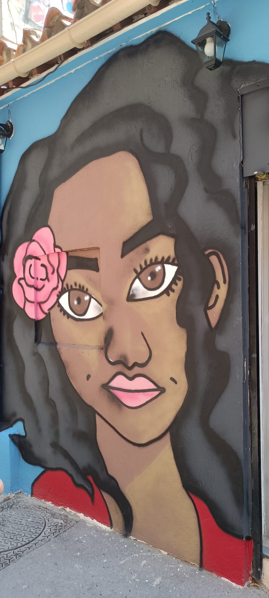 Young woman with a pink rose — Street art in Marseille