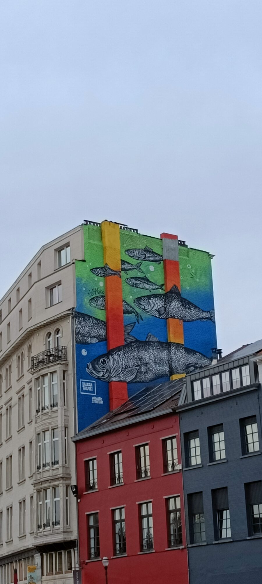 No Borders, the Herrings by ojoMAGico — Street art by ojoMAGico in Bruxelles
