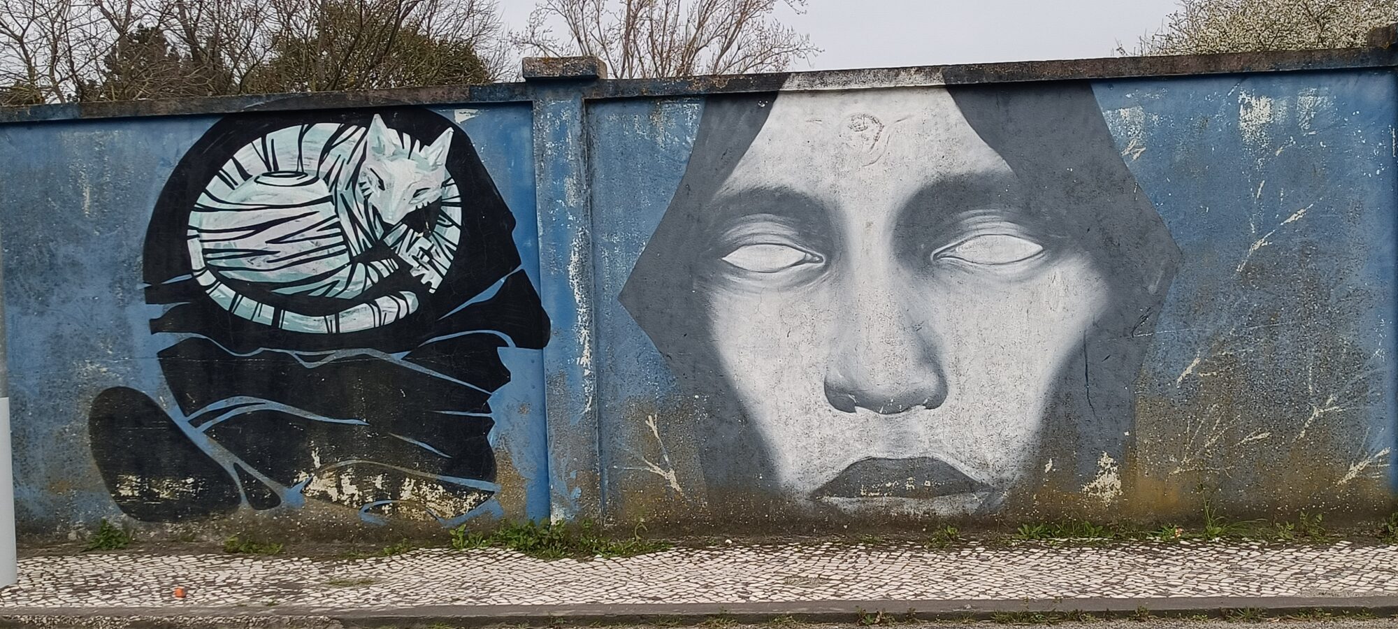 Chat lové dans un disque noir — Street art à Lisboa