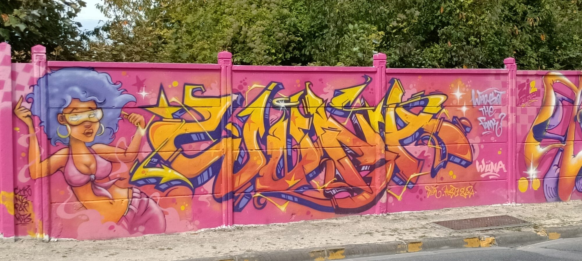 Who Got The Funk, Pin-Up with a Lilac Afro — Street art in Reims
