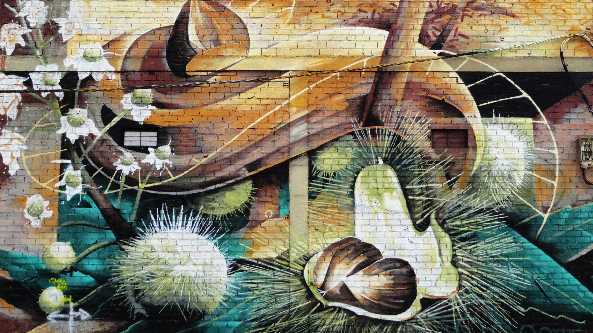 Take a Chestnut — Street art by SEA.162 in La Bañeza