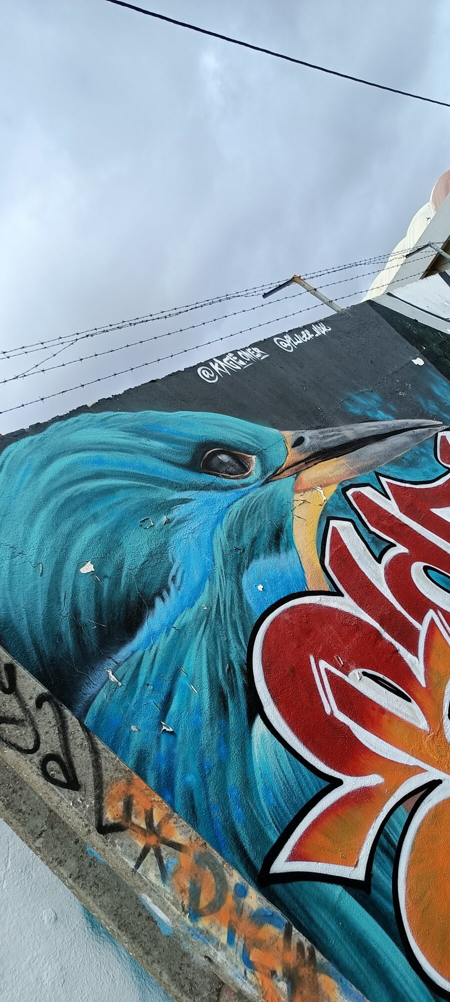Turquoise Kingfisher by Harte One — Street art by Harte One in Almada