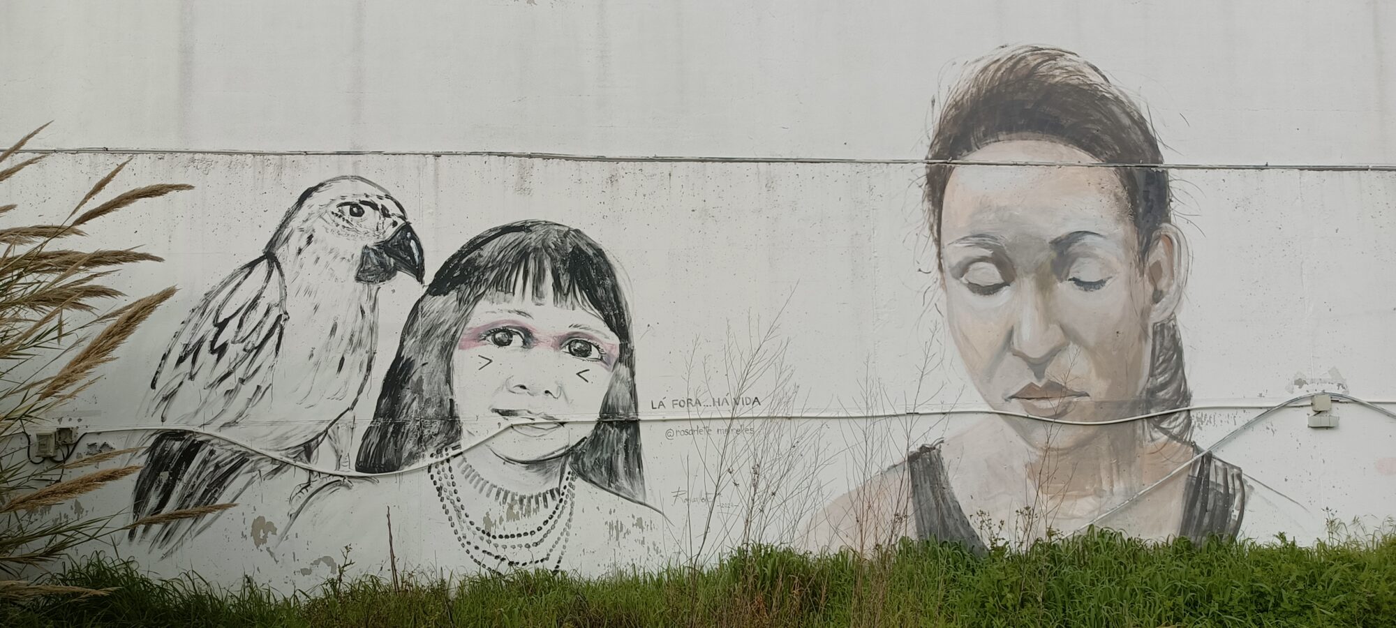 Parrot, Indigenous Girl and Grey Portrait — Street art in Lisboa