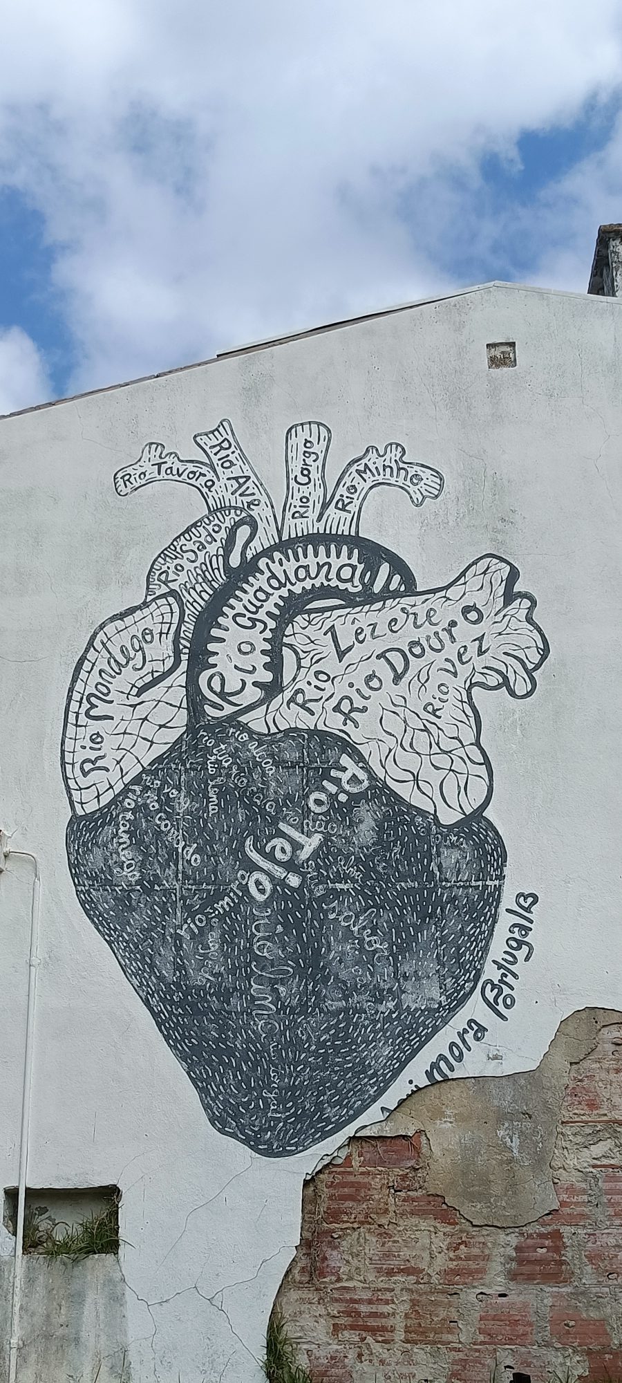 Cœur anatomique aux rivières du Portugal — Street art à Lisbon