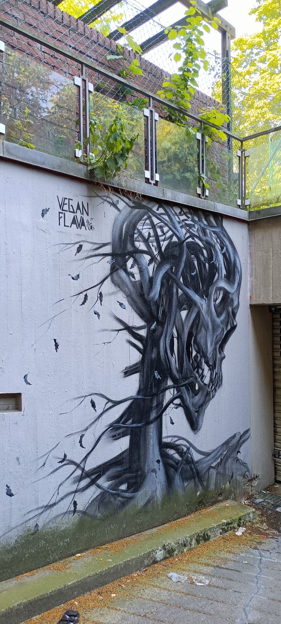 Plant Skull by Vegan Flava — Street art by Vegan Flava in Berlin