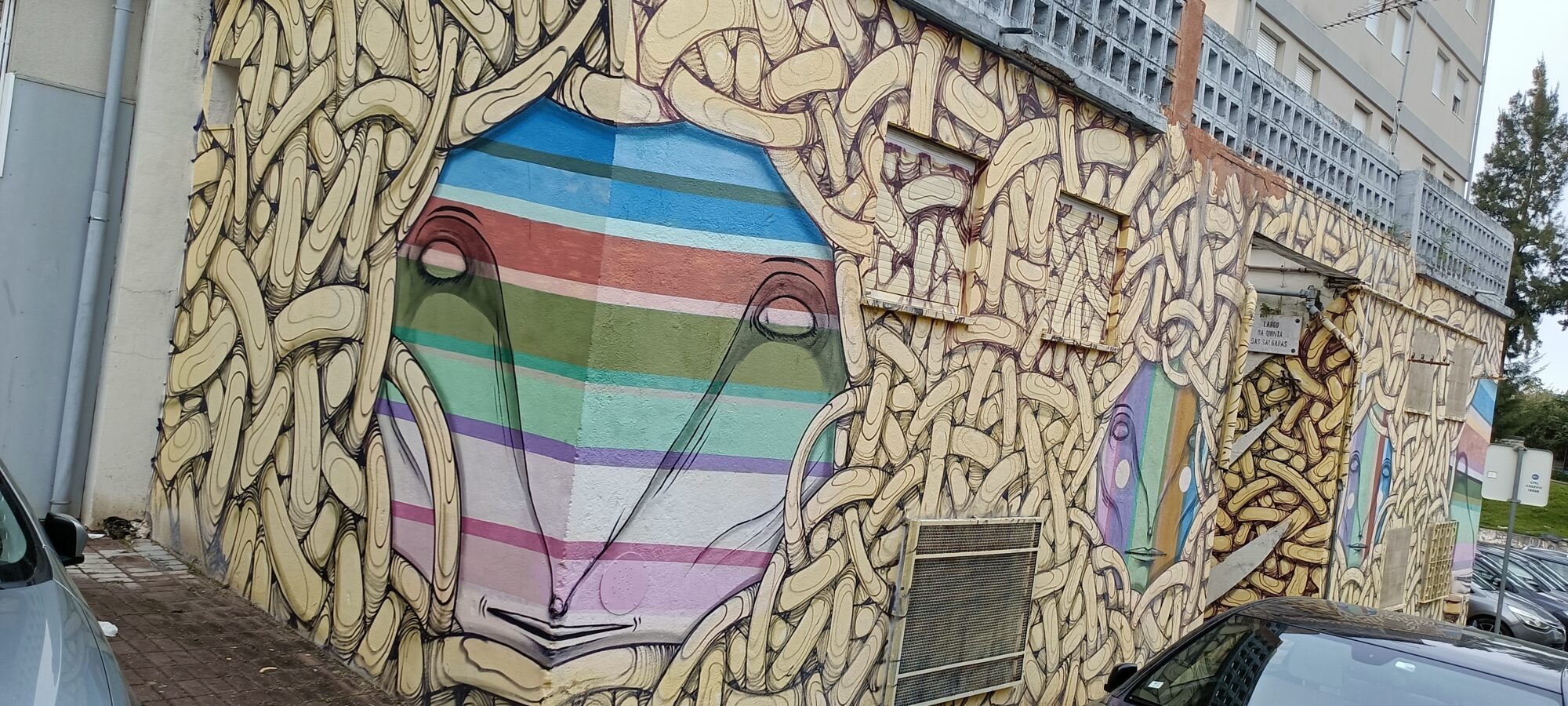 Wall of Interlacing and a Rainbow Face — Street art in Lisboa
