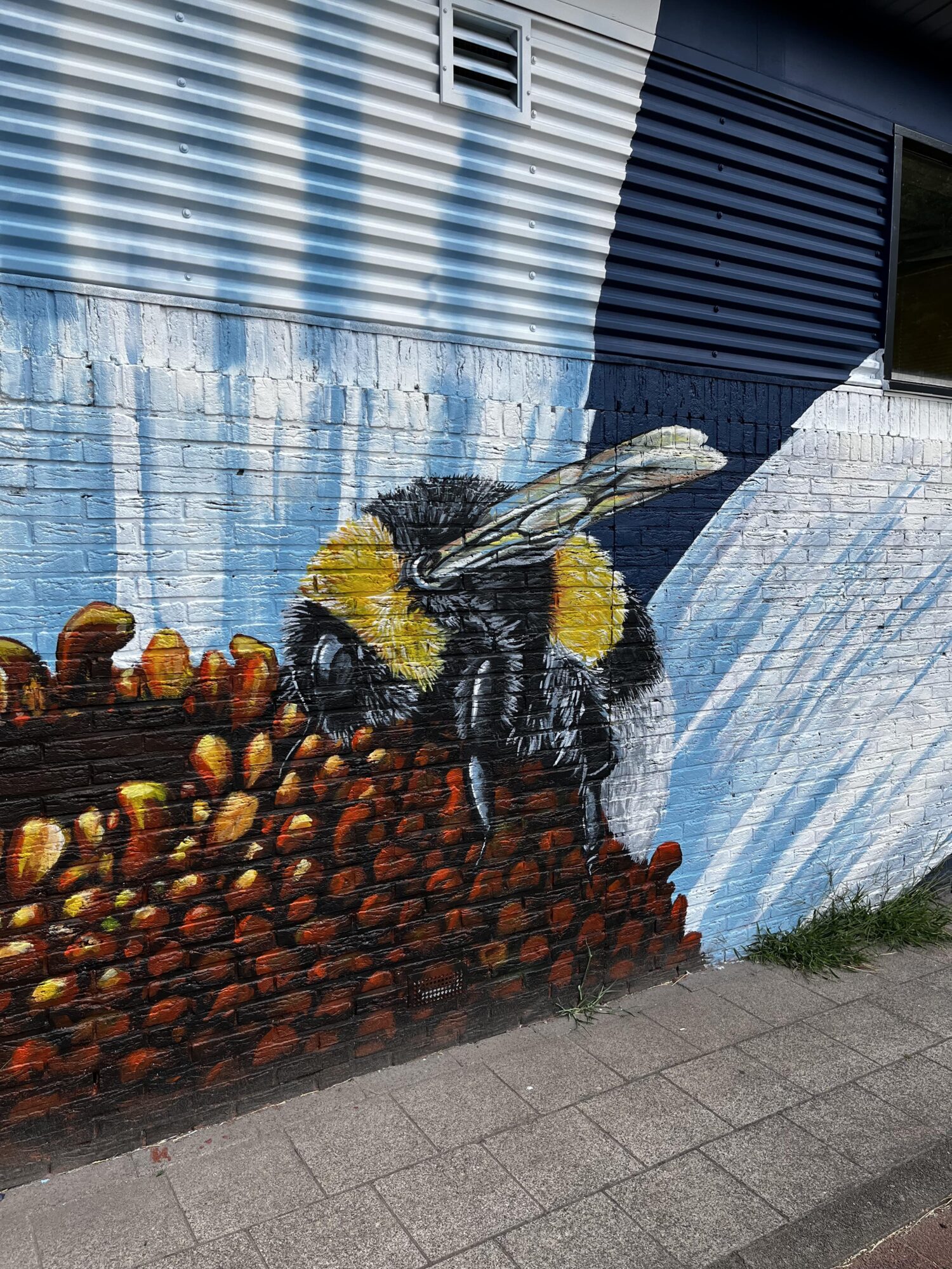 The Bumblebee and the Flowers of Witte Dorp — Street art by Marloes de Kiewit in Rotterdam