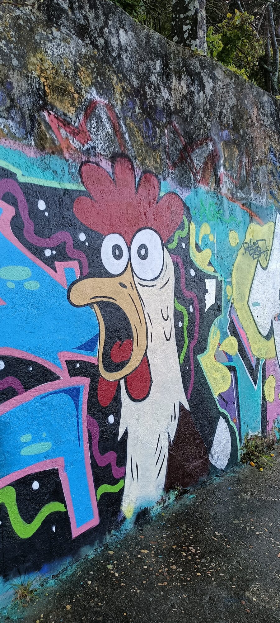 Screaming Rooster over Blue Lettering — Street art in Lisboa