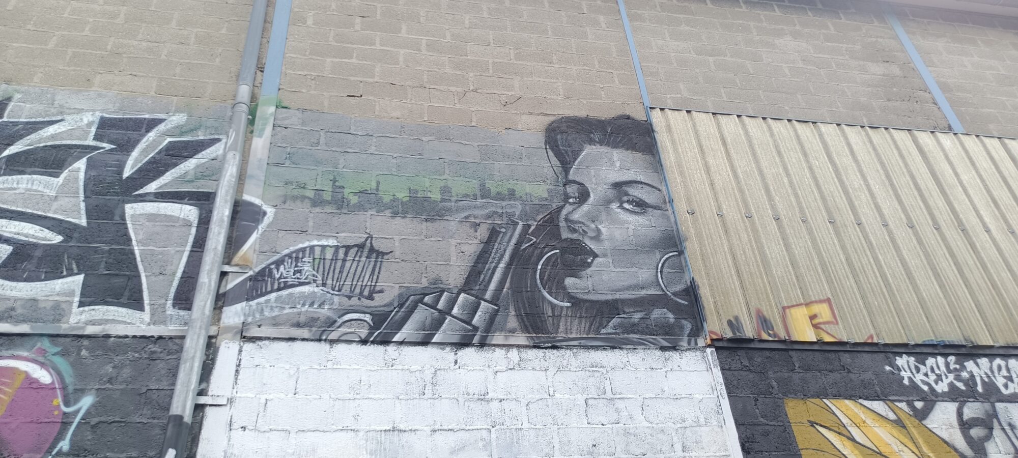 Woman with Hoop Earrings and Grey Skyline — Street art in Reims