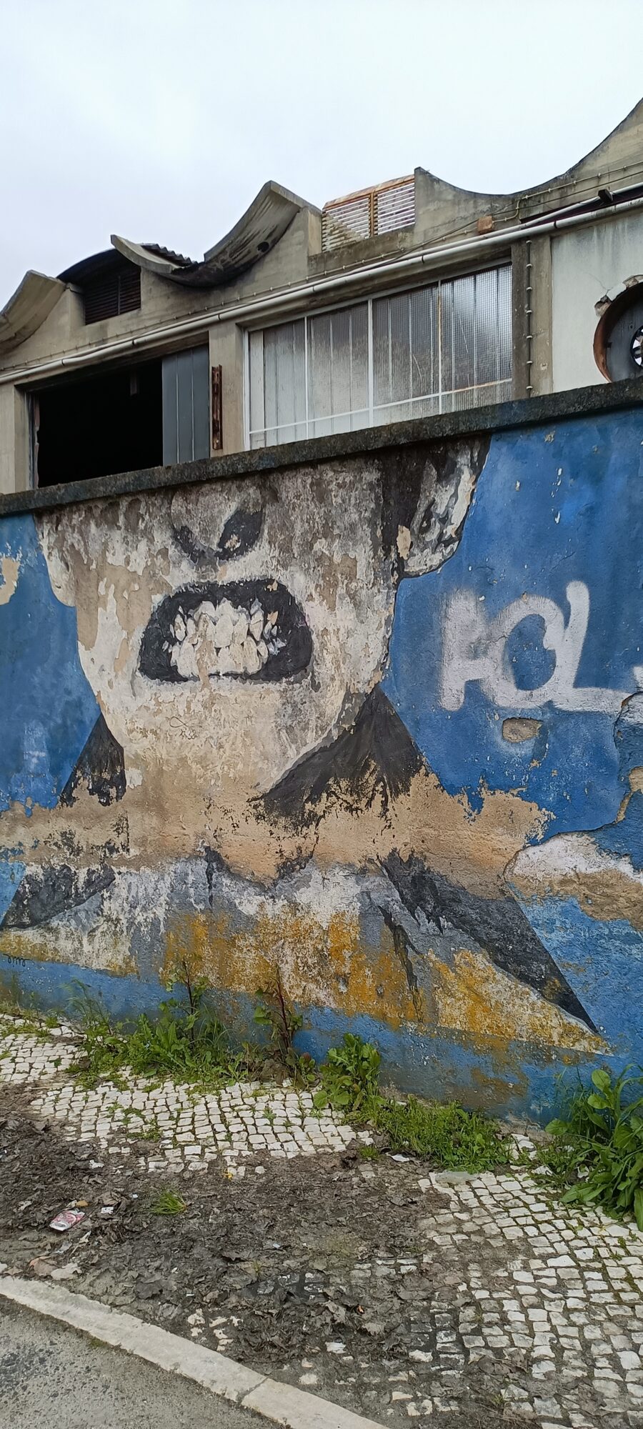 Cri édenté sur mur en ruine — Street art à Lisboa