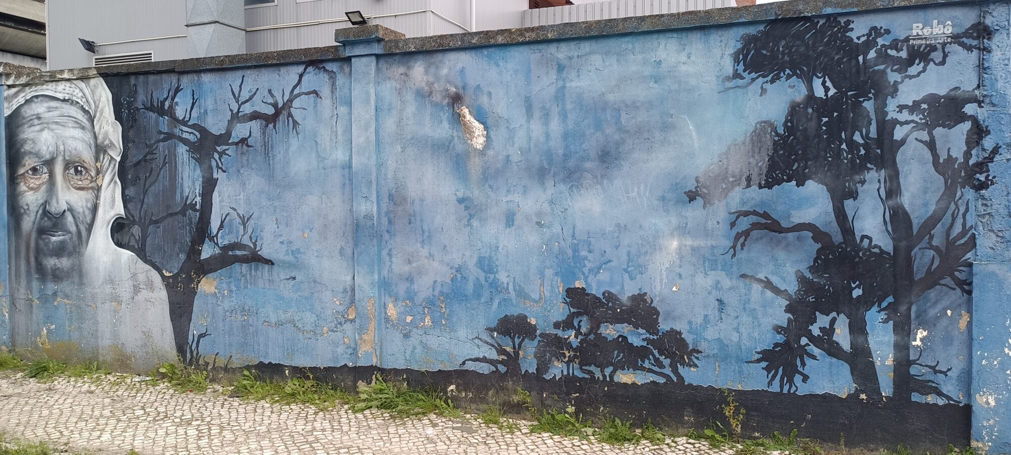 Blue forest and a grandmother's face — Street art in Lisboa
