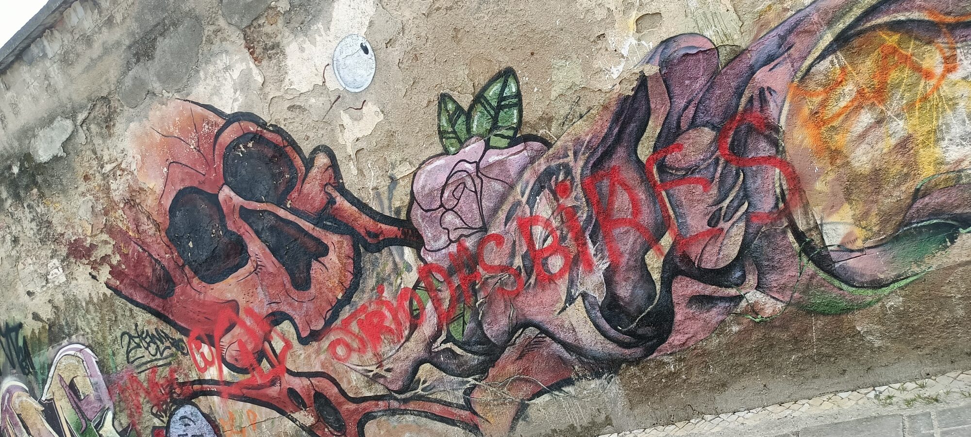 Fleshy Anatomy and Rose Covered in Tags — Street art in Almada