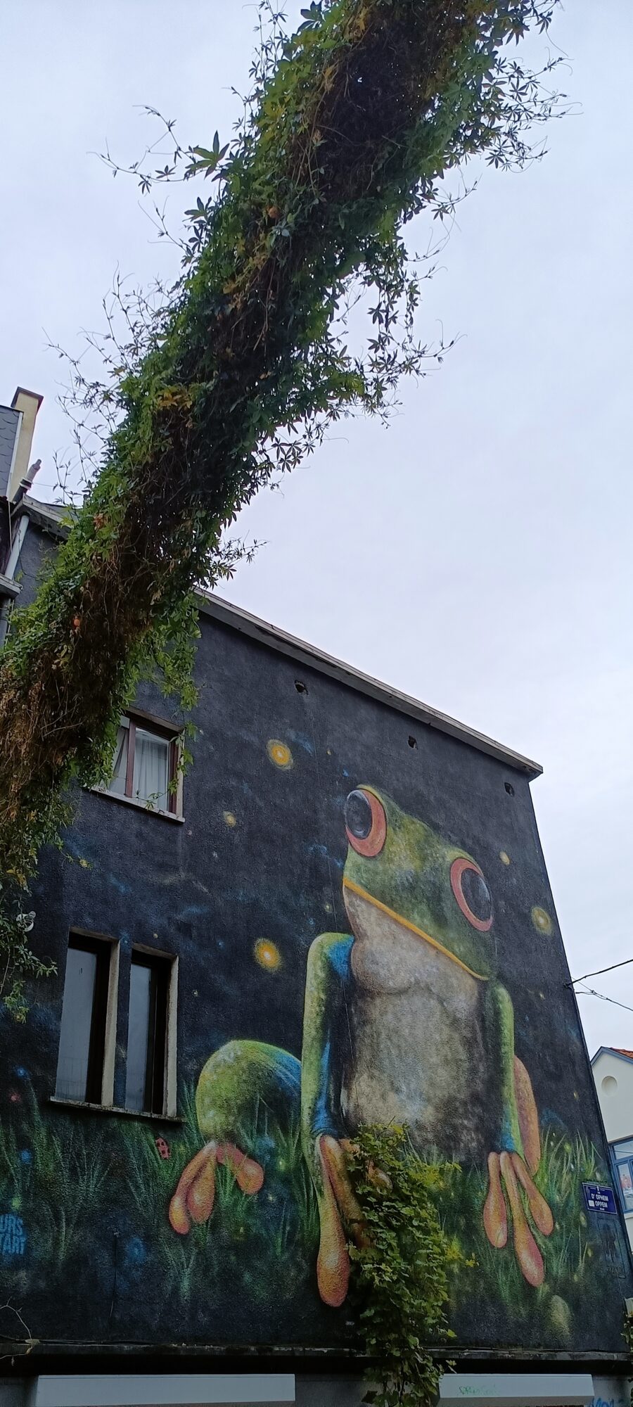 Zouwi's Frog on Rue d'Ophem — Street art by Zouwi in Bruxelles