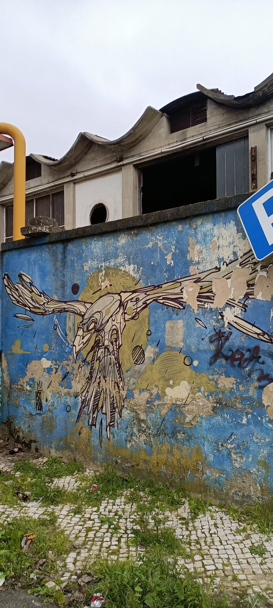 Anatomical crow in black line — Street art in Lisboa