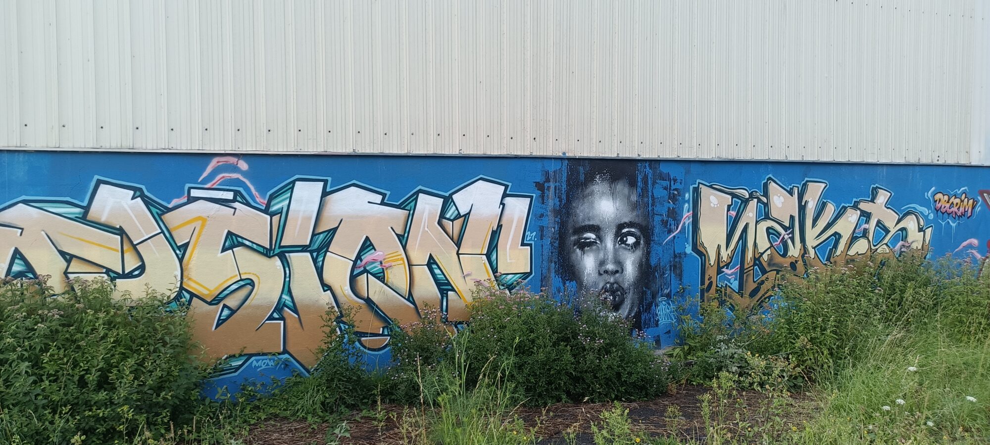 Blowing portrait and blue lettering — Street art in Saint-Brieuc