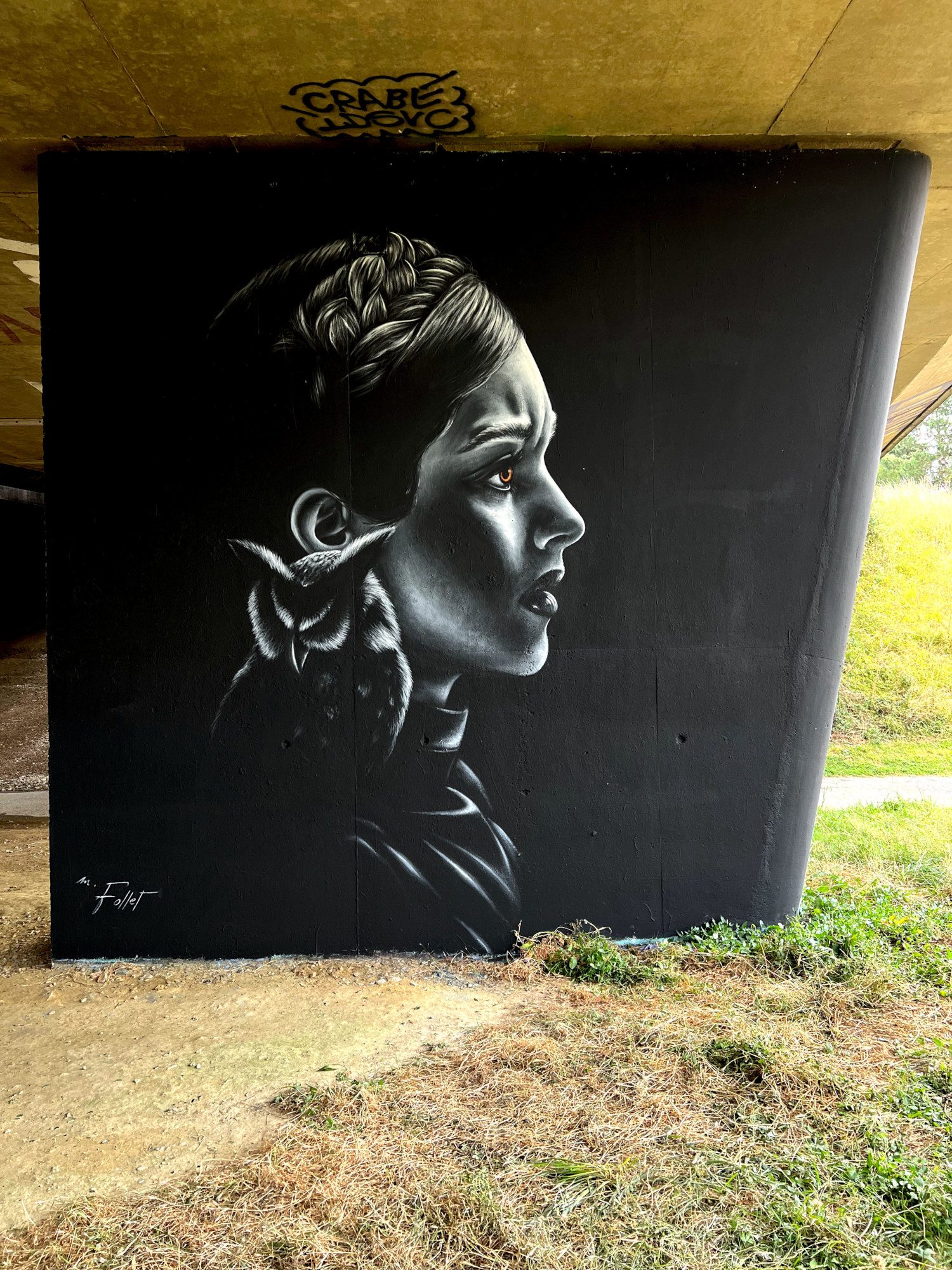Athena, the Woman with an Owl — Street art by Mélissa Follet in Rennes